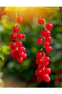 Red Currants Notebook 350 lined pages 8.5 x 11 glossy softcover