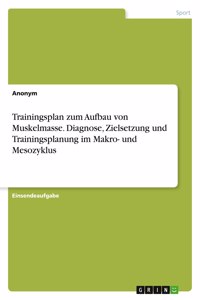 Trainingsplan zum Aufbau von Muskelmasse. Diagnose, Zielsetzung und Trainingsplanung im Makro- und Mesozyklus