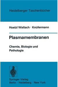 Plasmamembranen
