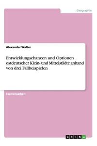 Entwicklungschancen und Optionen ostdeutscher Klein- und Mittelstädte anhand von drei Fallbeispielen