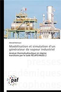 Modélisation Et Simulation D Un Générateur de Vapeur Industriel