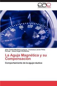 Aguja Magnetica y Su Compensacion