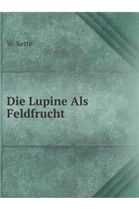 Die Lupine ALS Feldfrucht