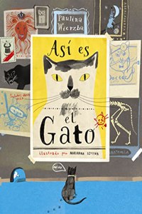 Asi es el gato
