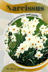 Narcissus