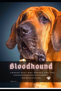 Bloodhound