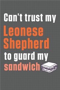 Can't trust my Leonese Shepherd to guard my sandwich