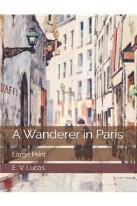 A Wanderer in Paris