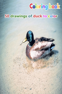 Coloring book 50 drawings of duck to color