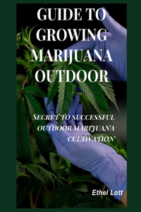 Guide to growing marijuana outdoor