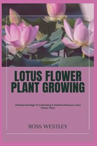 Lotus Flower Plant Growing