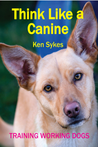 Think Like a Canine