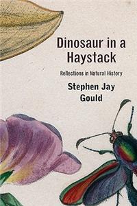 Dinosaur in a Haystack