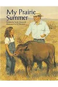 Steck-Vaughn Pair-It Books Fluency Stage 4: Big Book My Prairie Summer