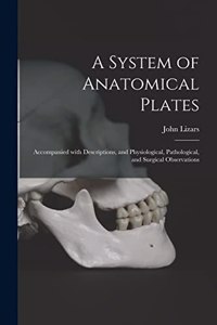 System of Anatomical Plates; Accompanied With Descriptions, and Physiological, Pathological, and Surgical Observations
