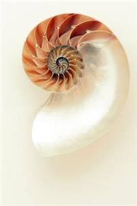 Luminous Nautilus Shell Journal