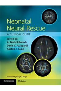Neonatal Neural Rescue: A Clinical Guide