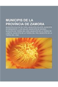 Municipis de La Provincia de Zamora