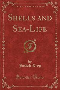 Shells and Sea-Life (Classic Reprint)