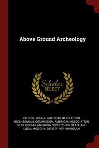 Above Ground Archeology