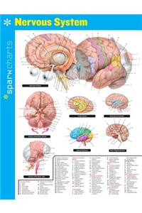 Nervous System Sparkcharts