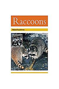 Racoons