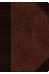 ESV Journaling Psalter (Trutone, Brown/Walnut, Portfolio Design)