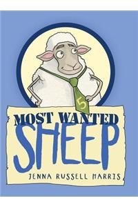 Most Wanted Sheep