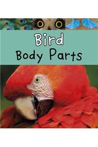 Animal Body Parts Bird Body Parts