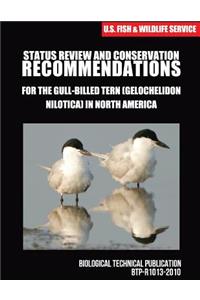 Status Review and Conservation Recommendations for the Gull-billed Tern (Gelochelidon nilotica) in North America