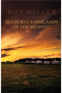 Sunburnt Farmlands of the Midwest