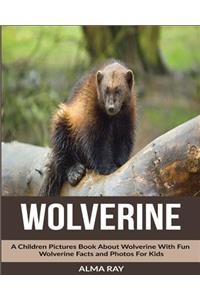 Wolverine