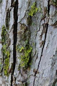 Tree Bark Nature Journal