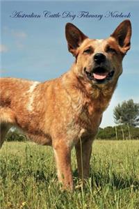 Australian Cattle Dog February Notebook Australian Cattle Dog Record, Log, Diary, Special Memories, to Do List, Academic Notepad, Scrapbook & More