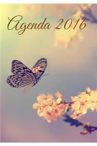 Agenda 2016