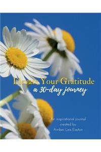 Elevate Your Gratitude