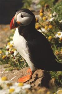 The Atlantic Puffin Journal: 150 Page Lined Notebook/Diary