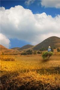 Landscape of Madagascar Journal