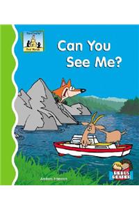 Can You See Me?