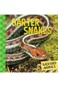 Garter Snakes