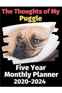 The Thoughts of My Puggle