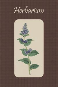 Herbarium