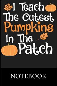 I Teach The Cutest Pumpkins In The Patch Notebook