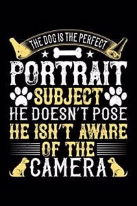 The Dog Is The Perfect Portrait Subject He Doesn't Pose He Isn't Aware Of The Camera