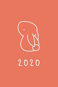 2020