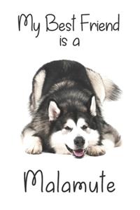 My best Friend is a Malamute