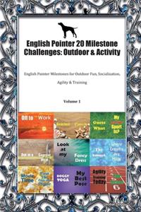 English Pointer 20 Milestone Challenges