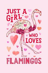 Just a Girl Who Loves Flamingos