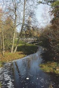Beautiful Stream and Trees in Latvia Nature Journal