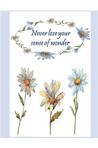 Never Lose Your Sense of Wonder